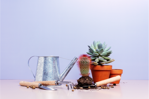 promo-banner-image